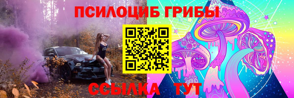 Оренбург  Галлюциногенные грибы Psilocybe  Вход с VPN 