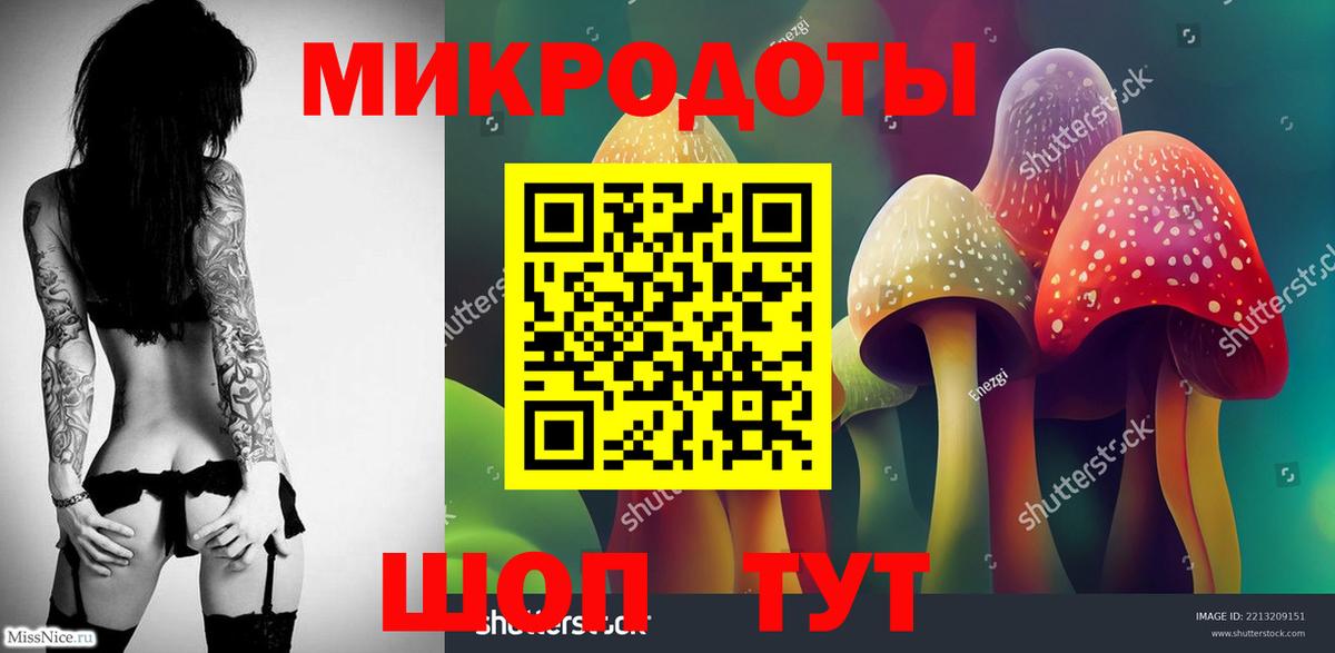 Галлюциногенные грибы Psilocybe Оренбург